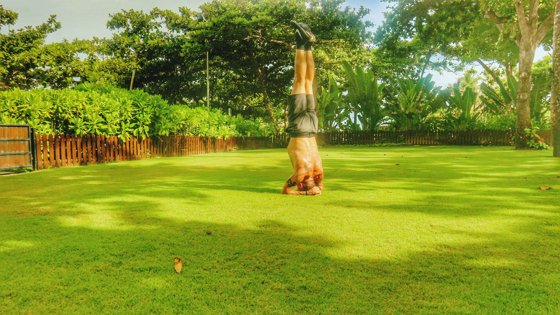 The Basics of General Fitness