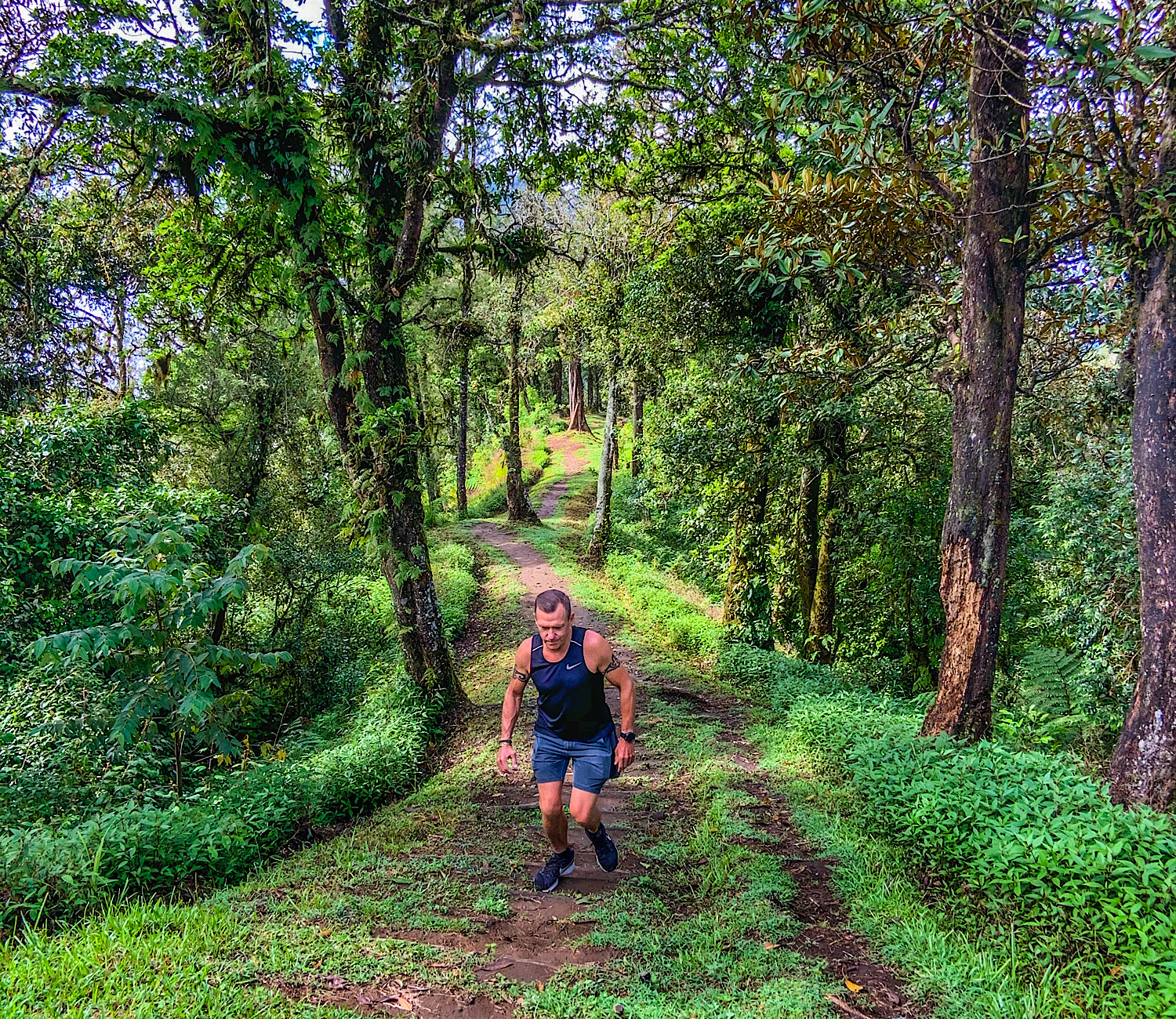 Walking in the mountains