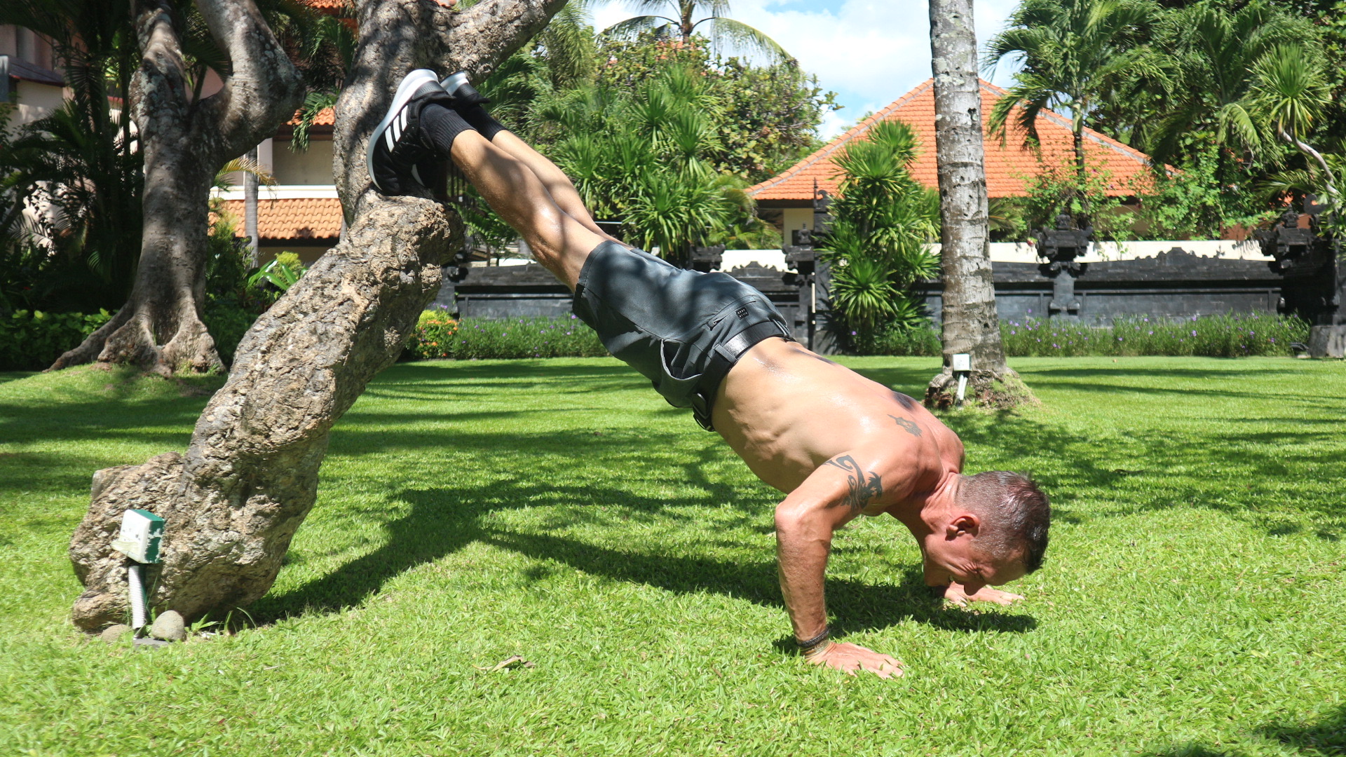 Man doing an invertes push-up off a tree
